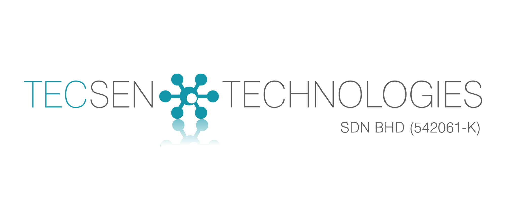 Silver Sponsor
