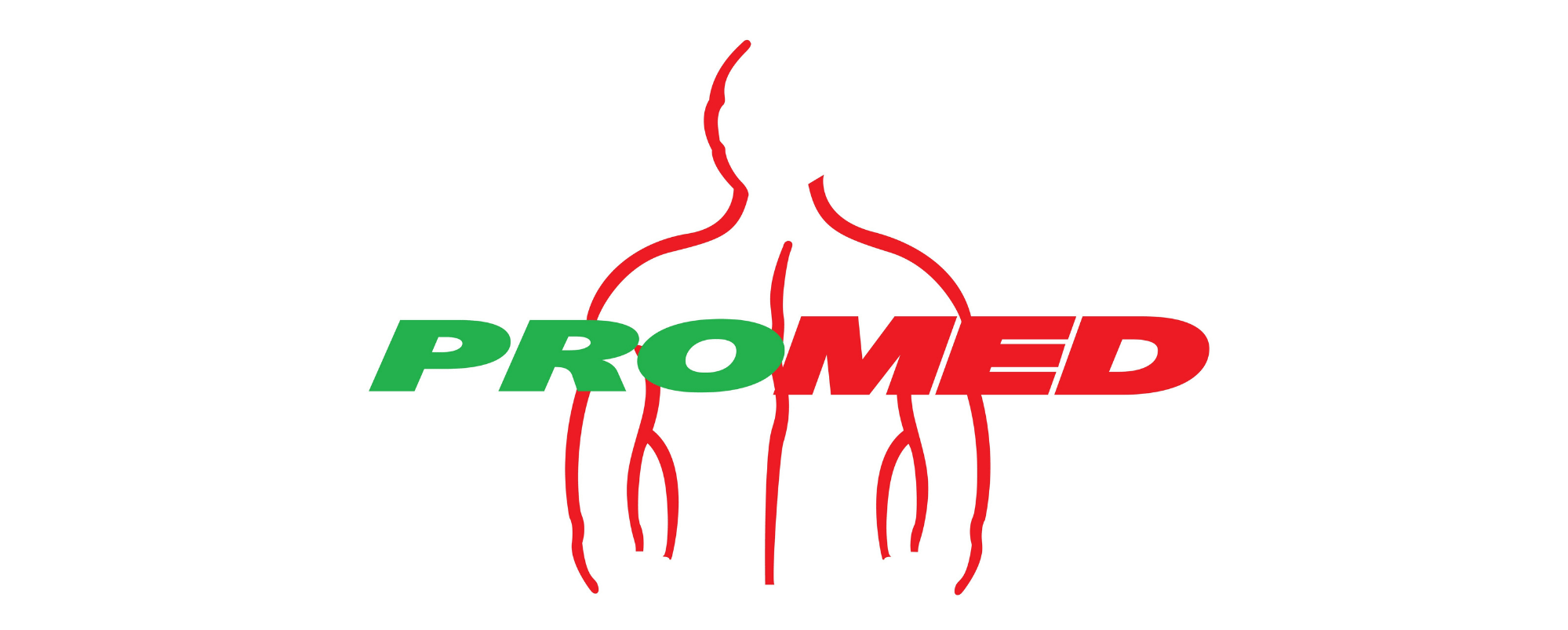Silver Sponsor